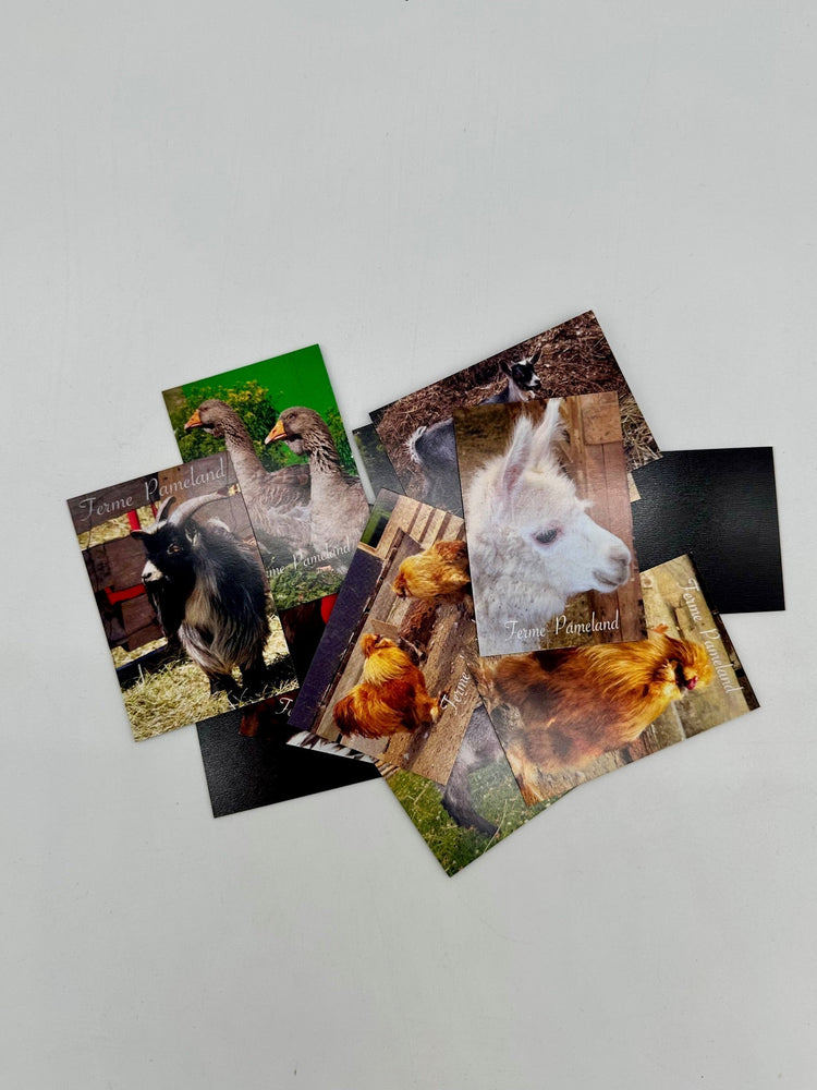 Custom Printed Magnets Photo