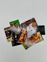 Custom Printed Magnets Photo